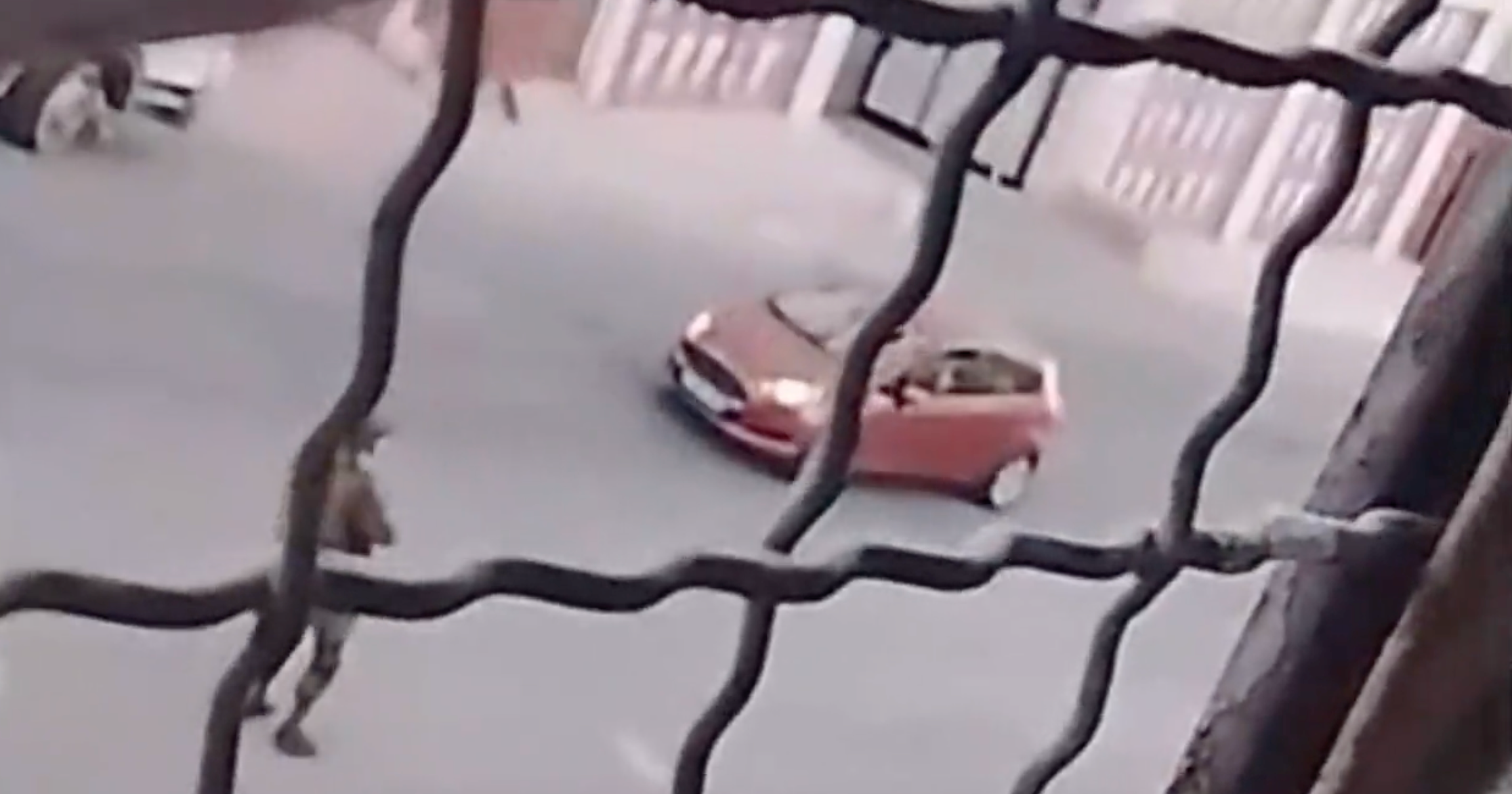 New Footage Shows Israeli Soldier Killed 7-Month-Old in Cold Blood